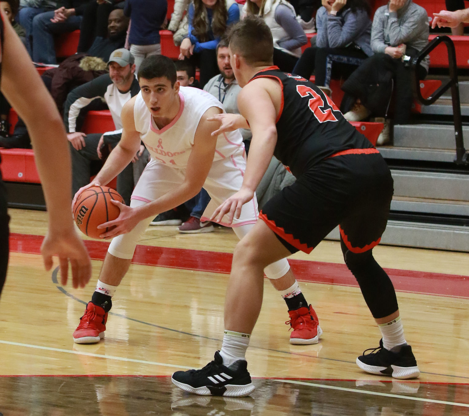 Elias Gerodemos, Crown Point, basketball